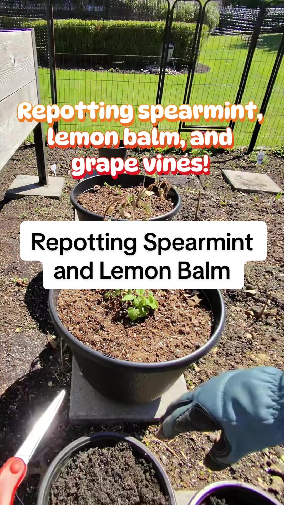 @homewithlogan