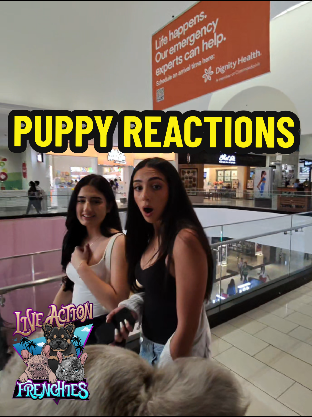 @Live Action Hype Shop
