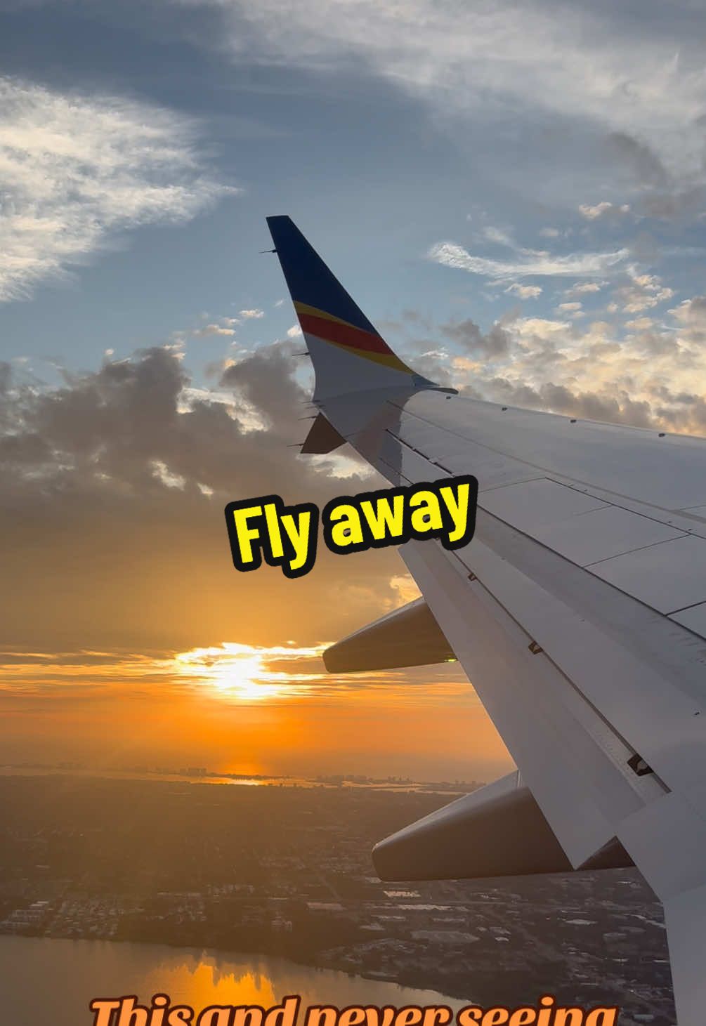 @Alifaye