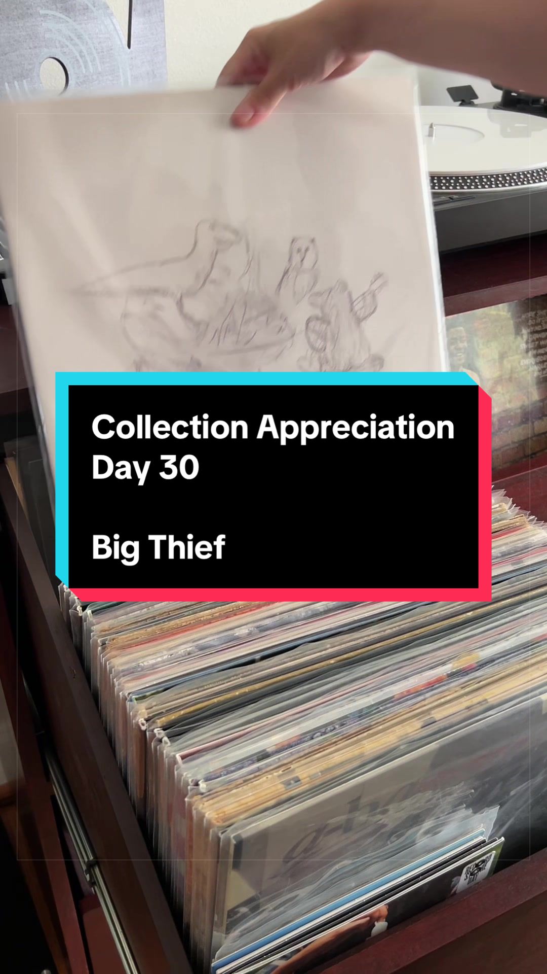@LV Vinyl