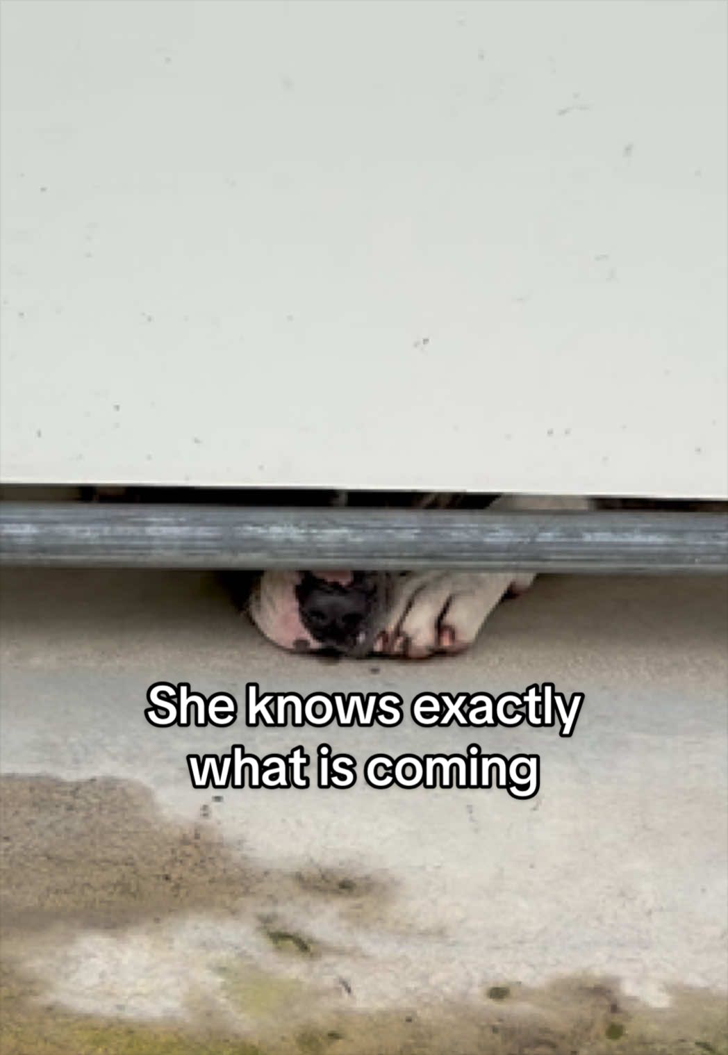 @Corridor Rescue Inc.