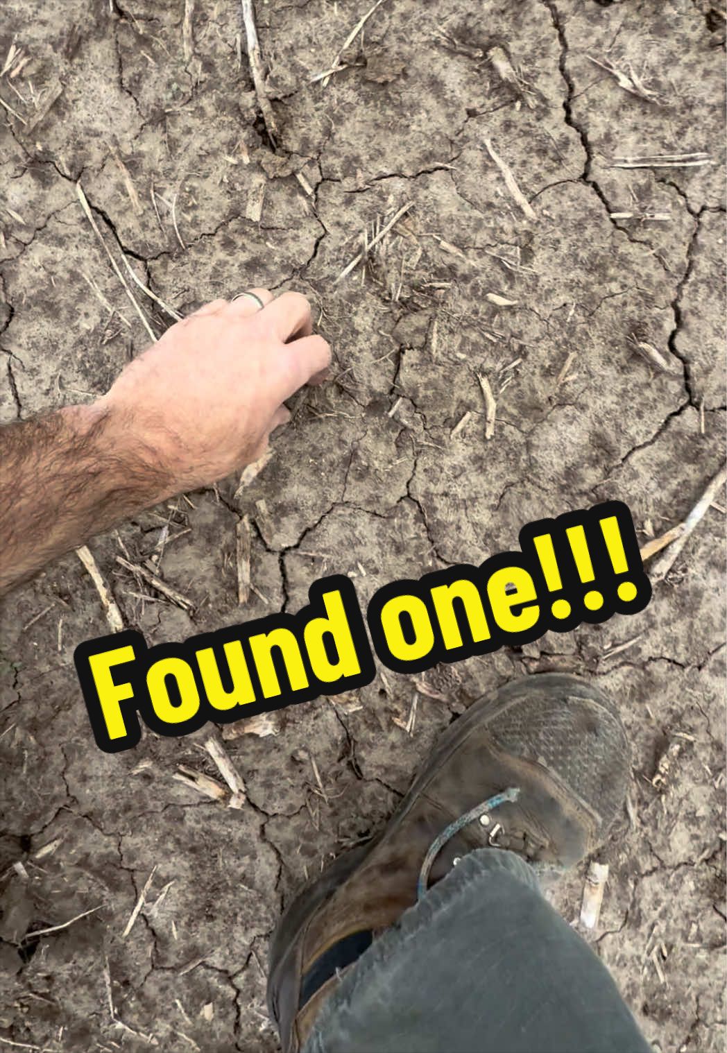 @Farmer Brando