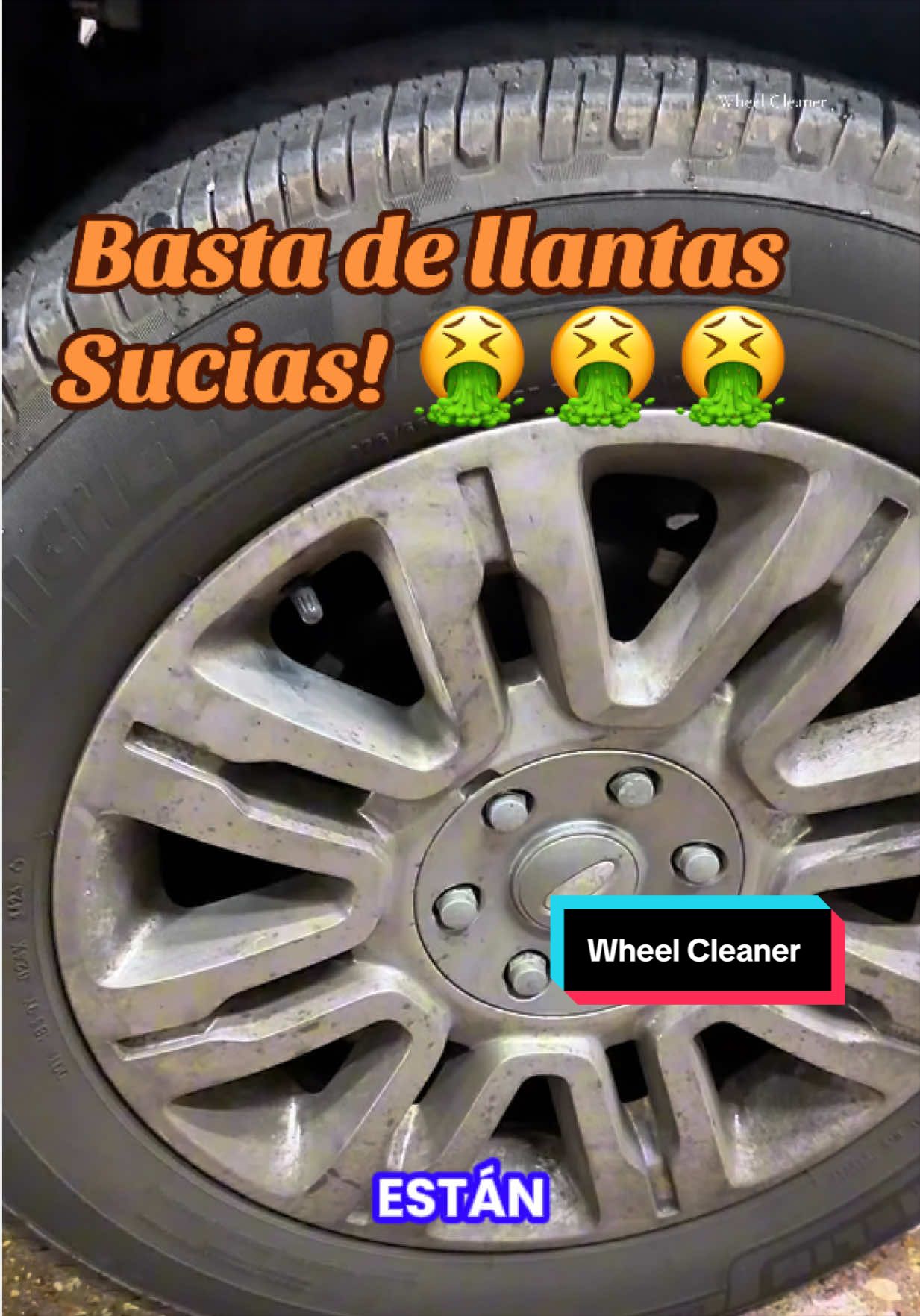 @raultelodice