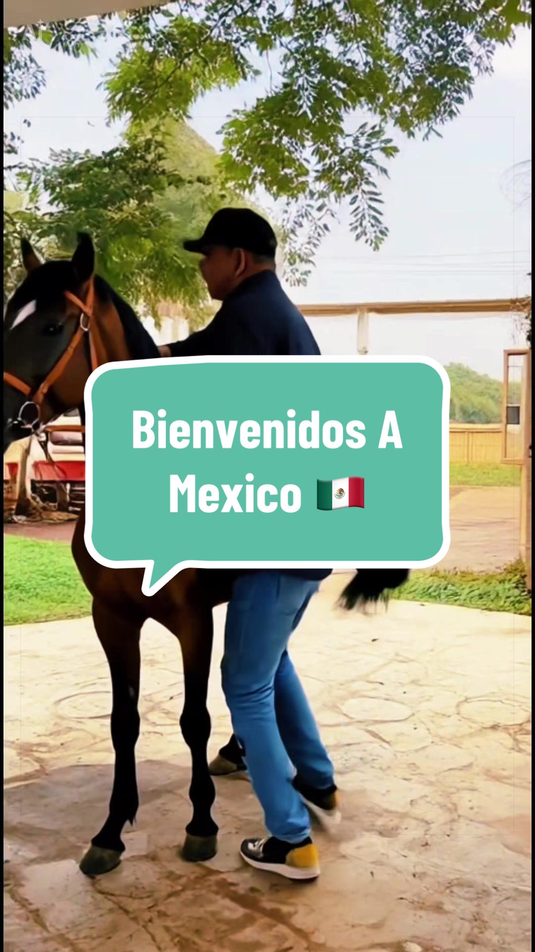 @caballeroviajero0317