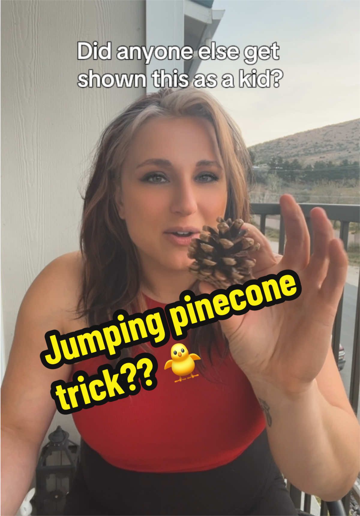 @mollyjmo