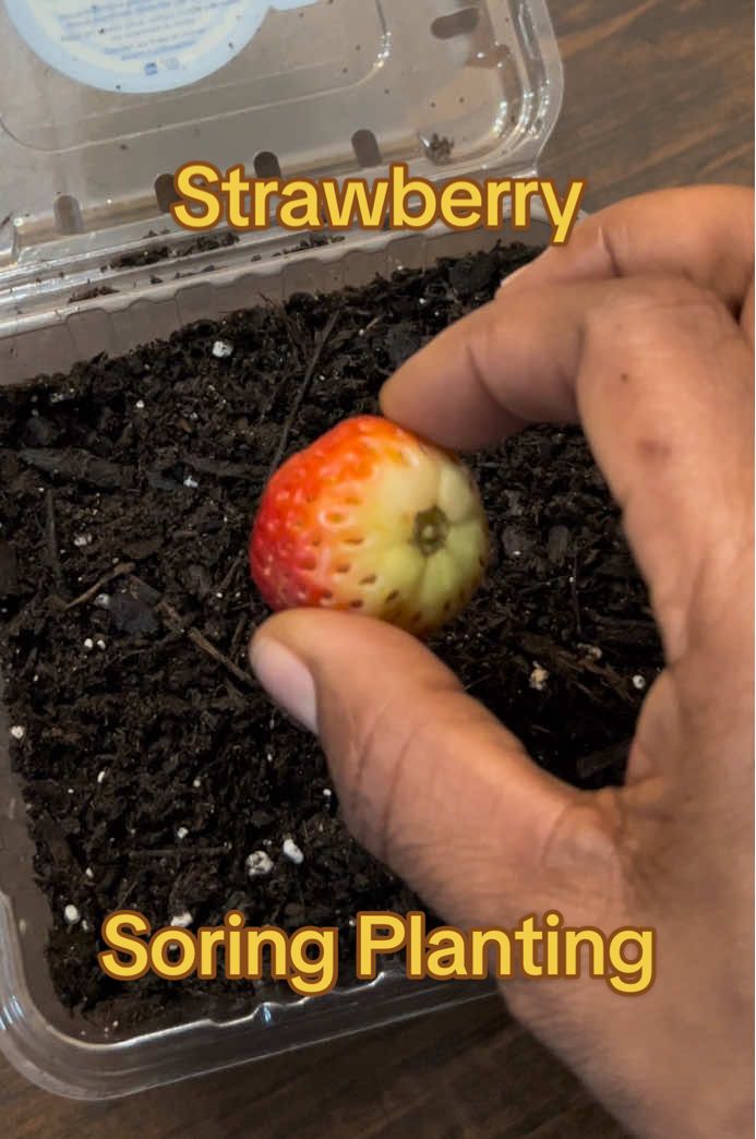 @Gardening4ME