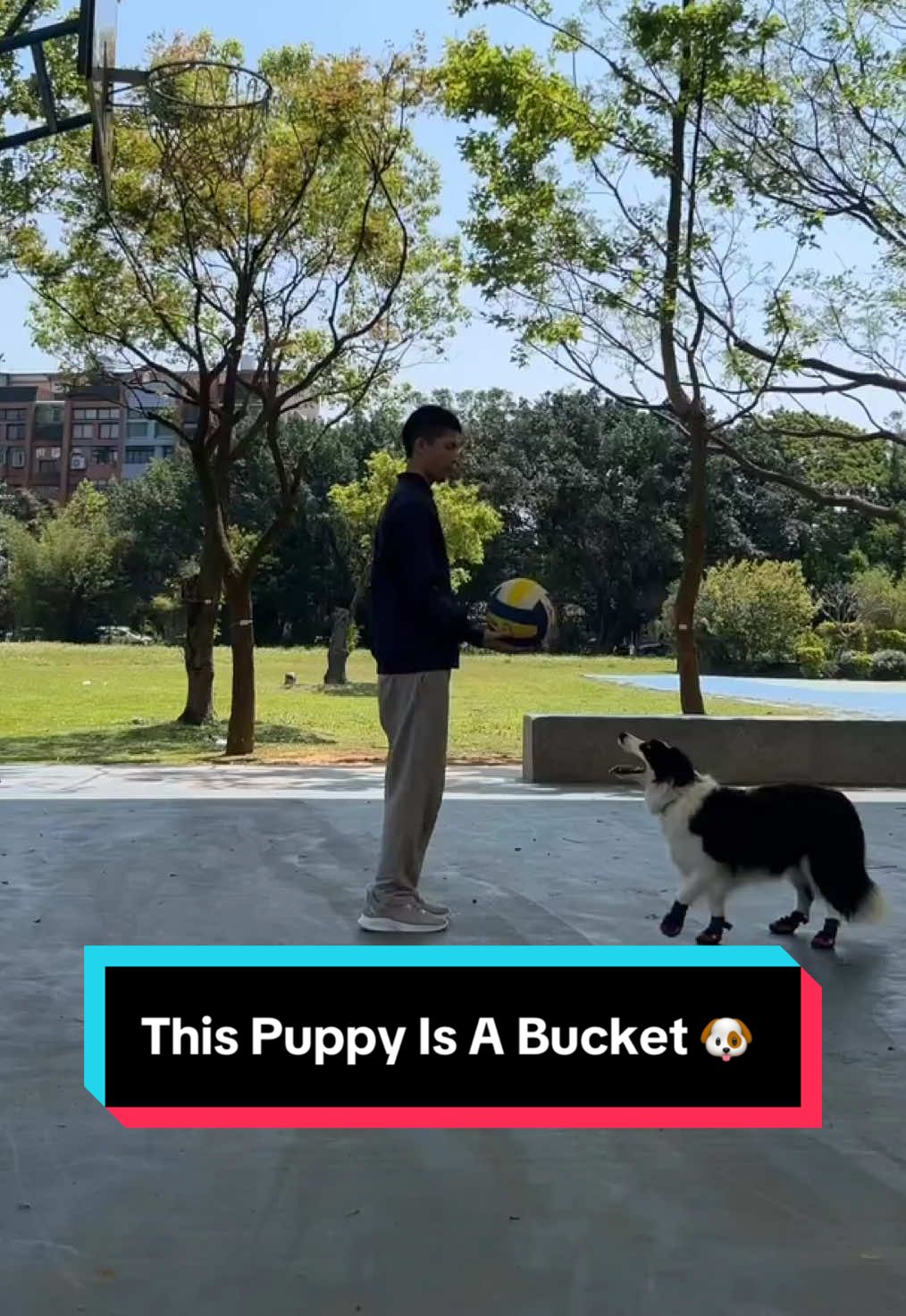 @NBA