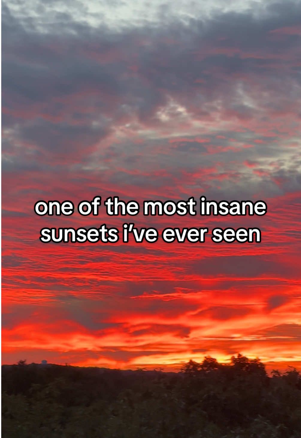 @Tori Kalisz