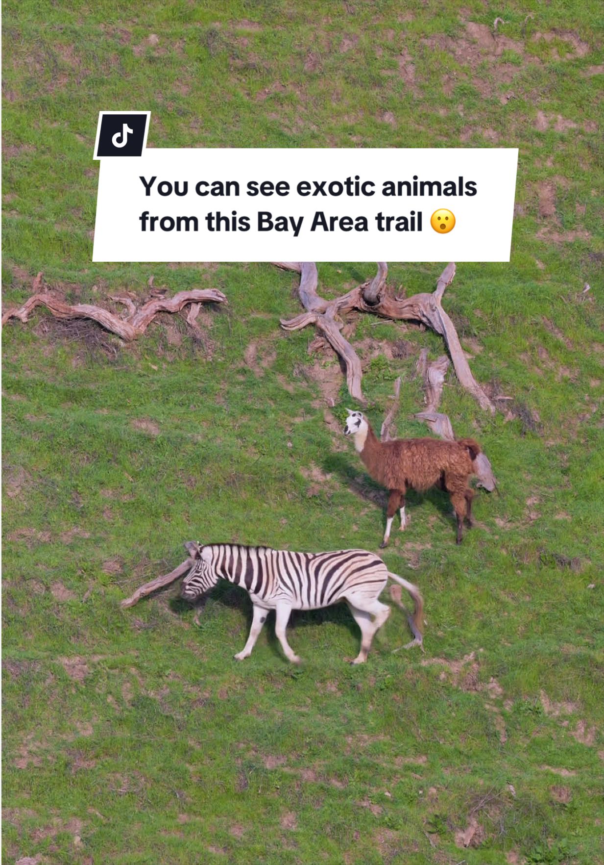 @Asya • Travel + California