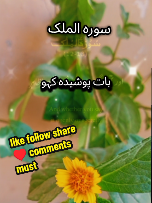 @𝐃𝐞𝐞𝐧𝐞𝐚𝐧𝐛𝐢𝐲𝐚