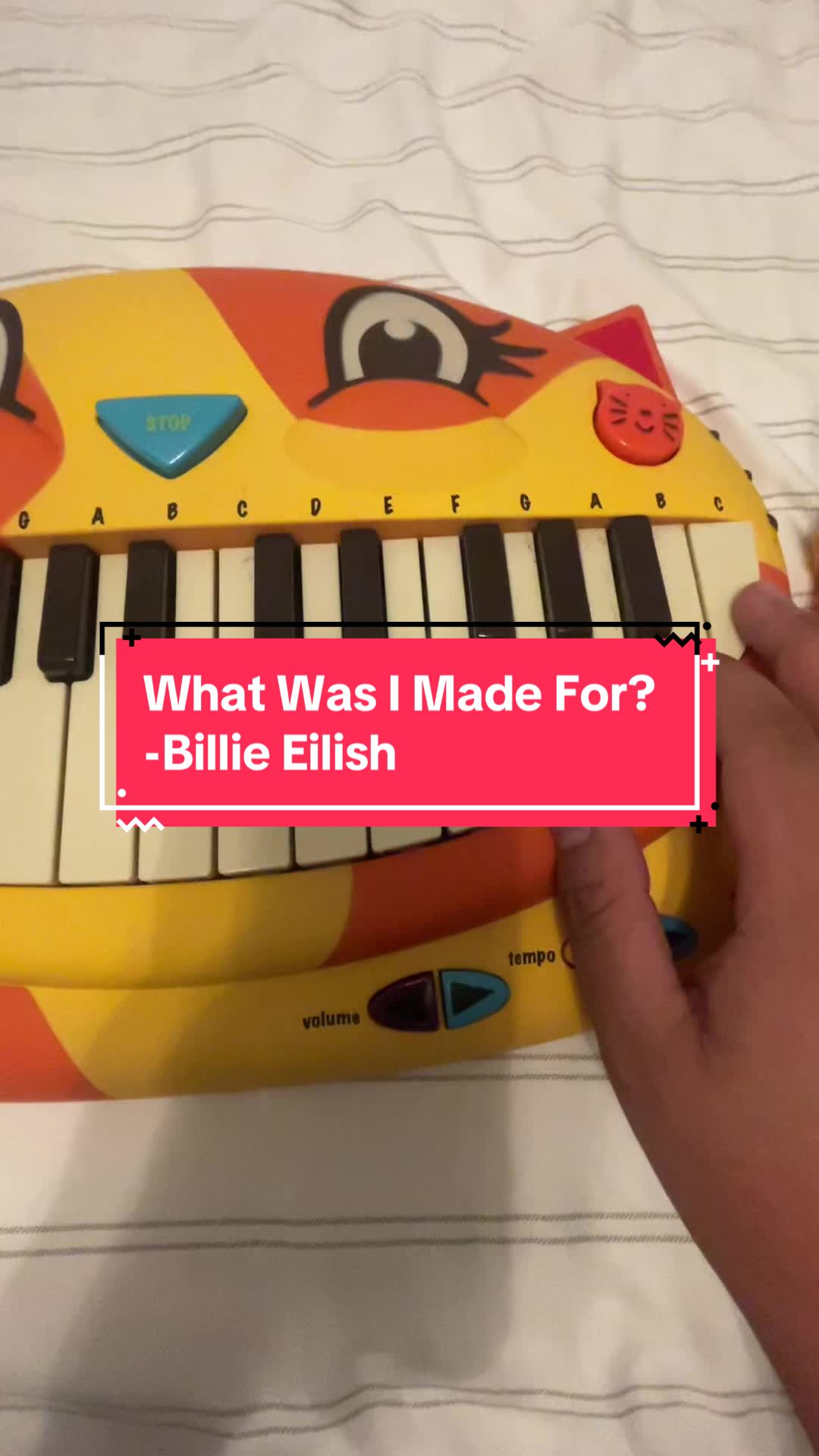 @Dave the Cat Piano