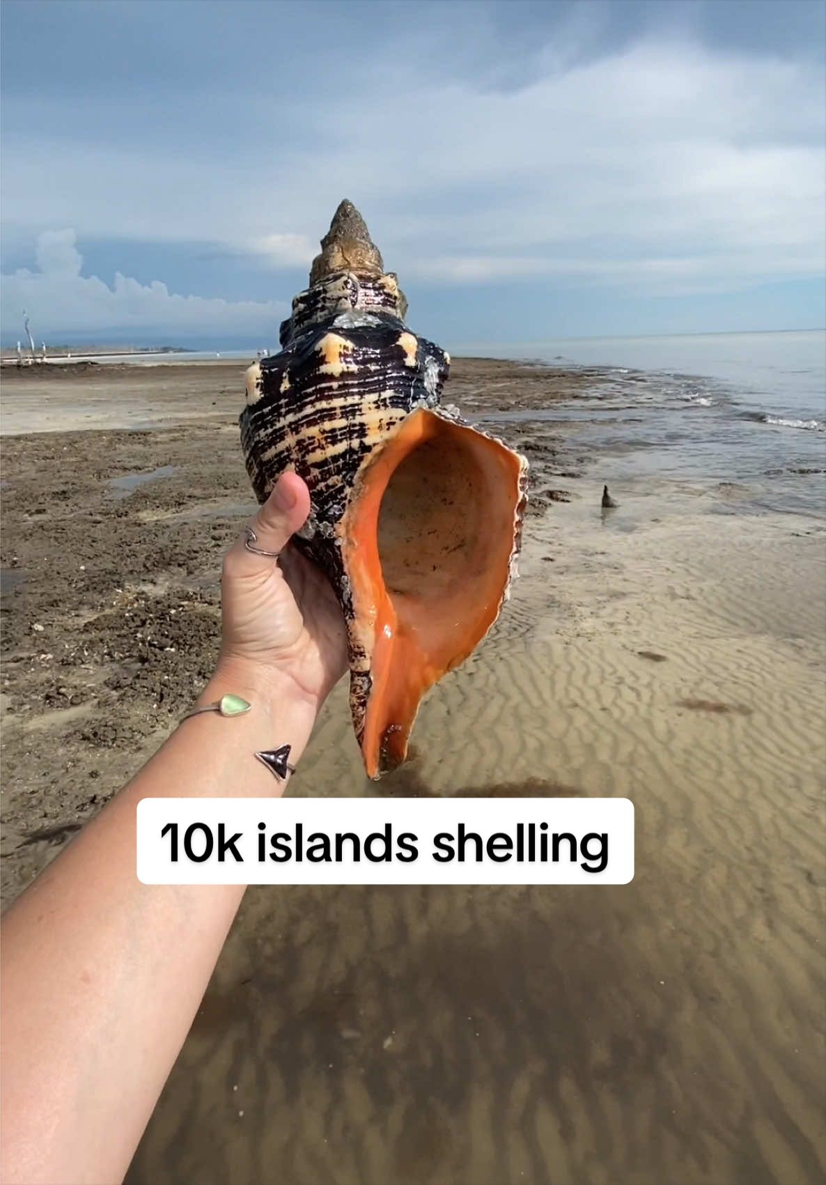 @🐚Jojo🌴