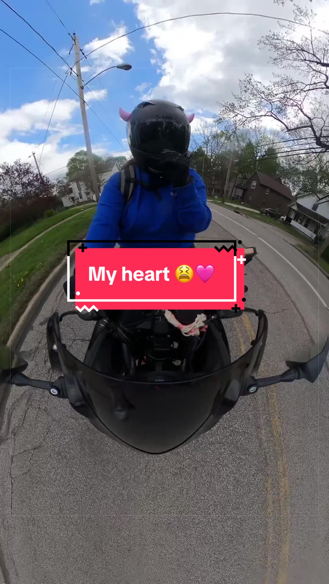 @zorra_the_zorr