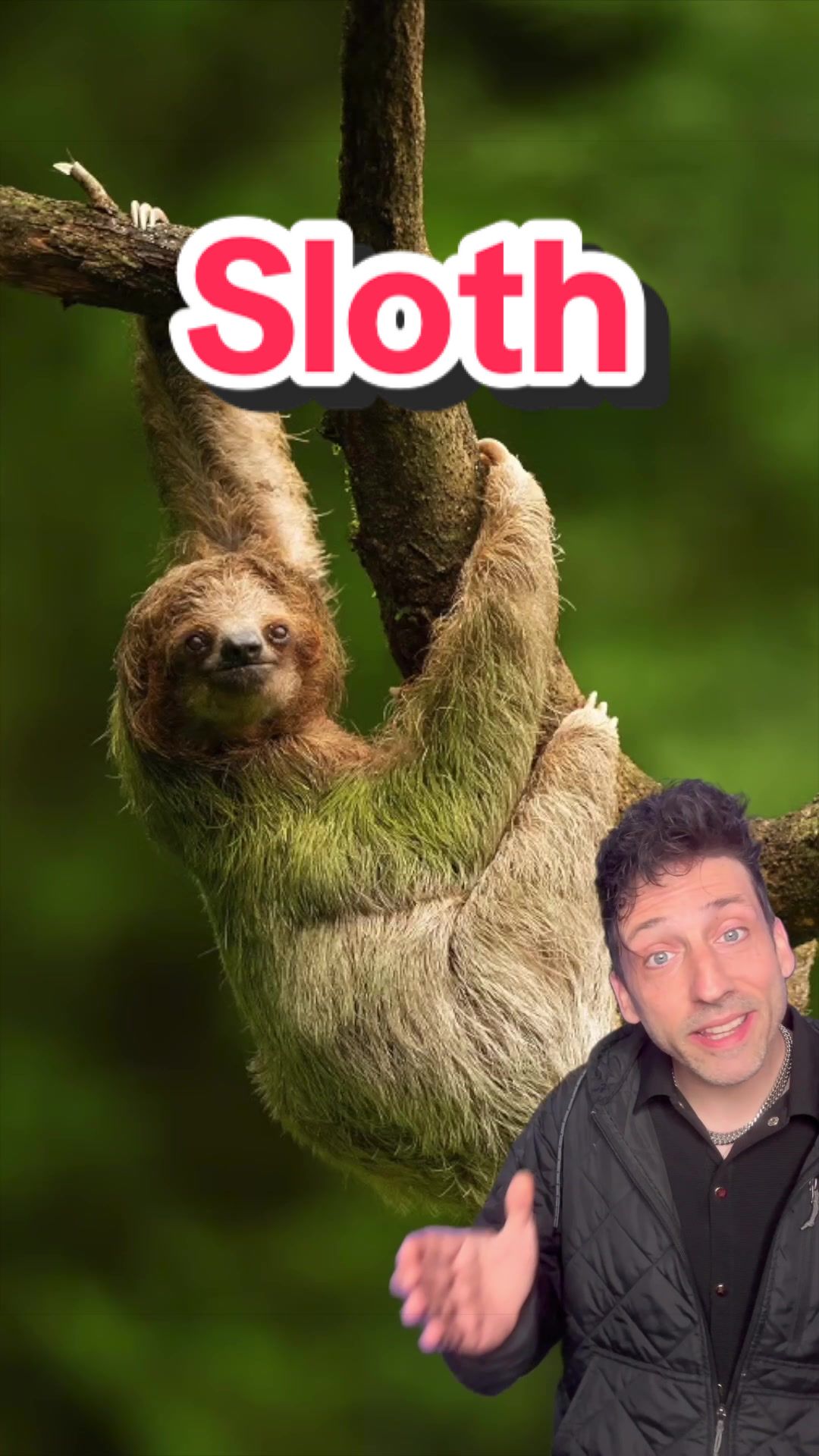 @Odd Danny