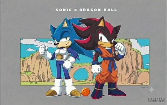 @King Rebel Sonic Hedgehog