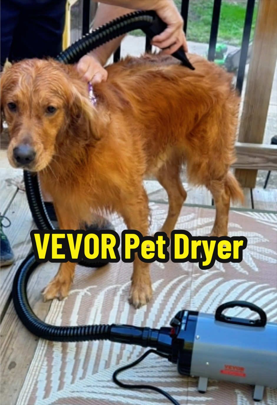 @GenXforever