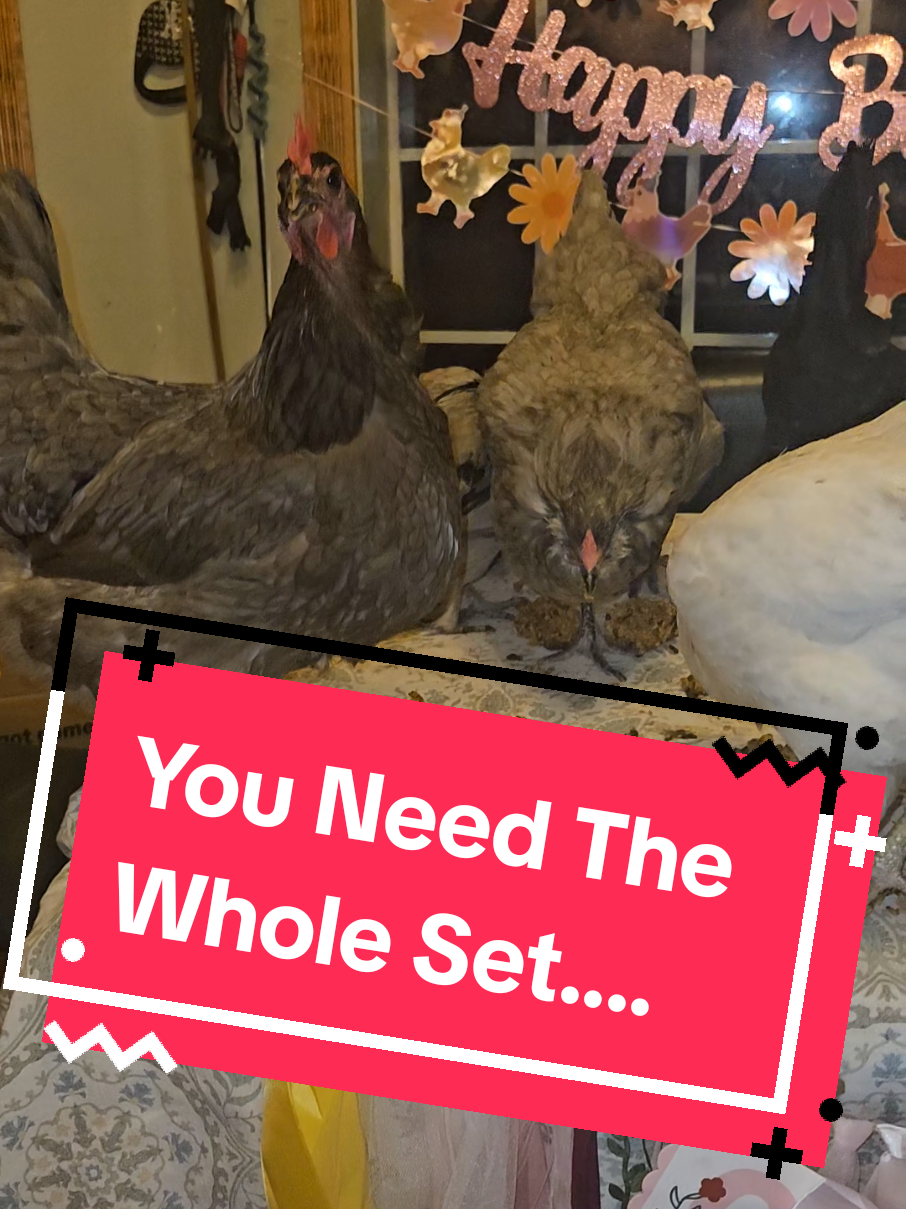 @The Ten Hens