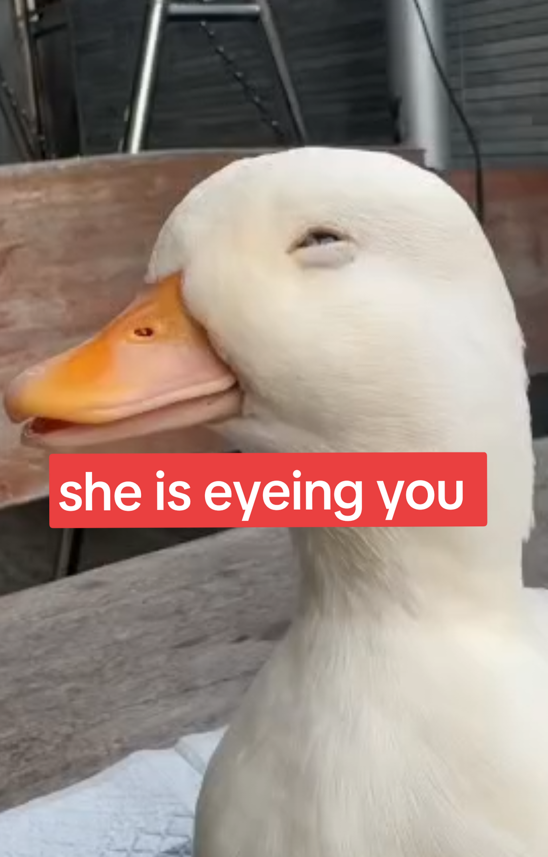 @Number10ne