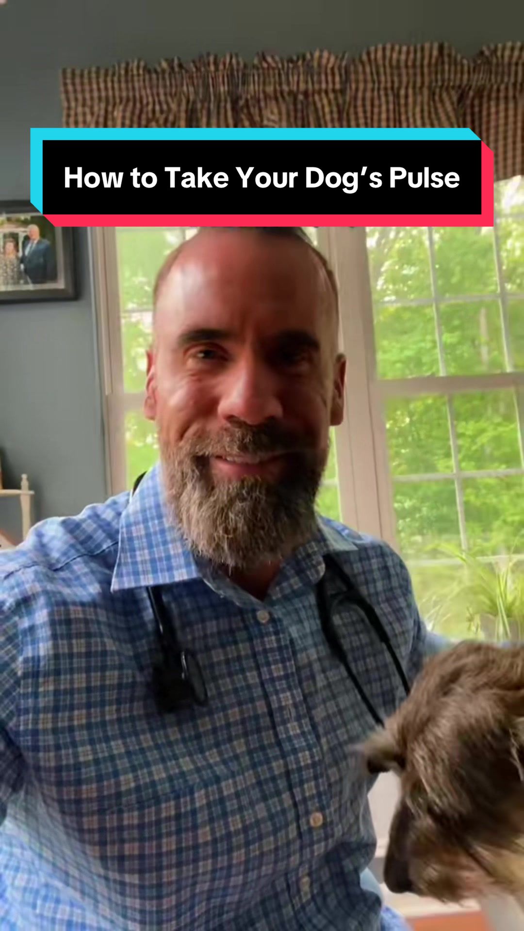 @dr.adam_christman_Veterinarian