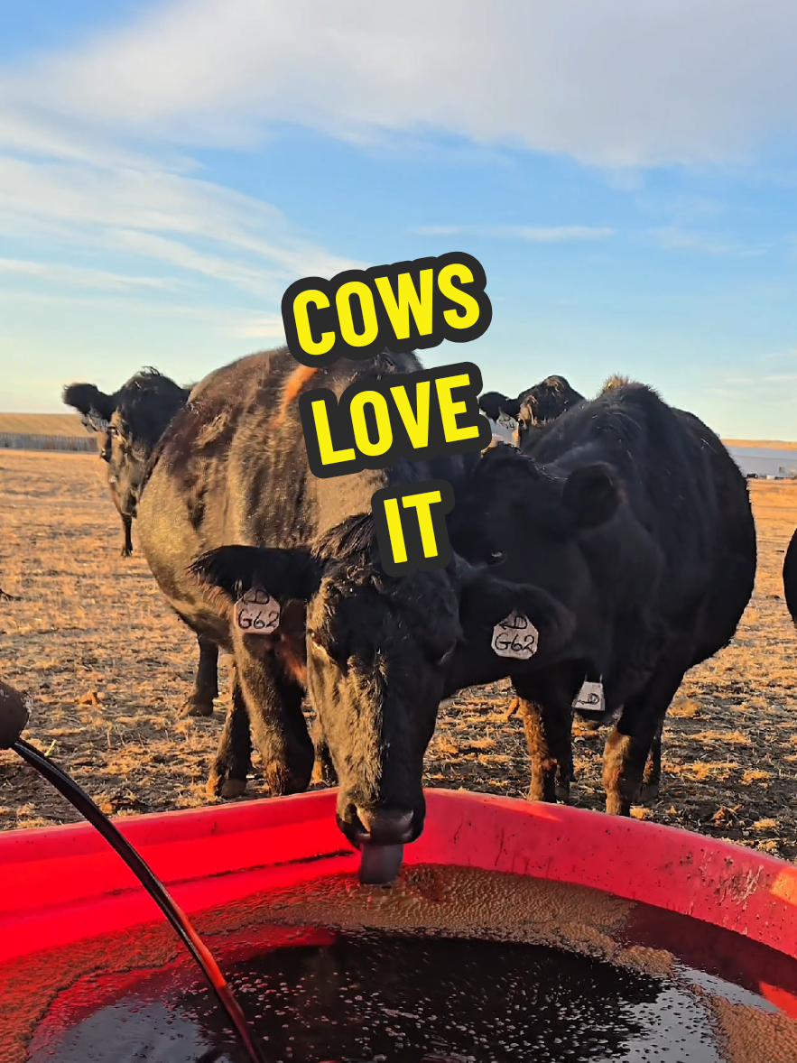 @1HANDNFARMING 🦾🌾🐂🚜