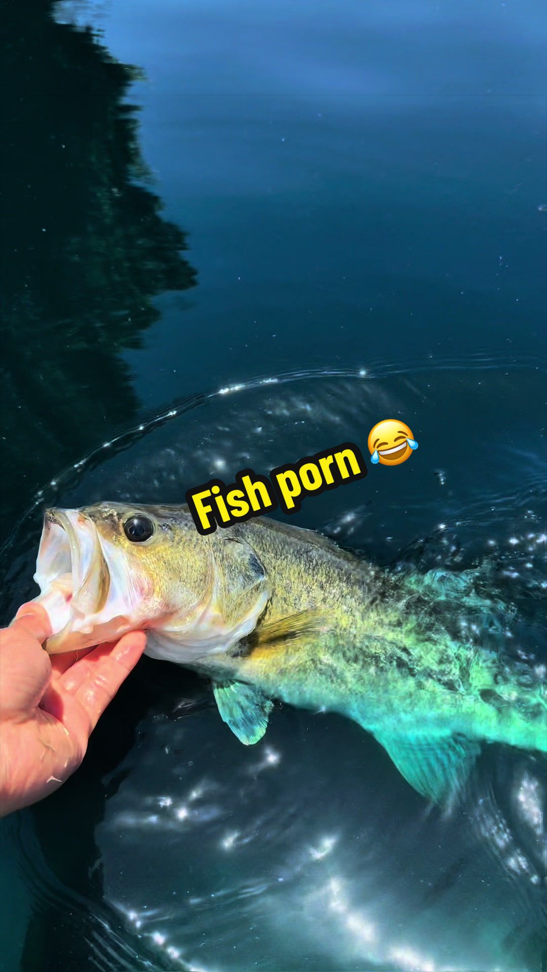 @Luu Nguyen Fishing