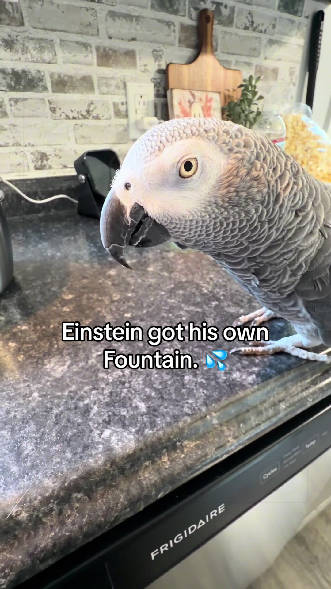 @Einsteins New Journey