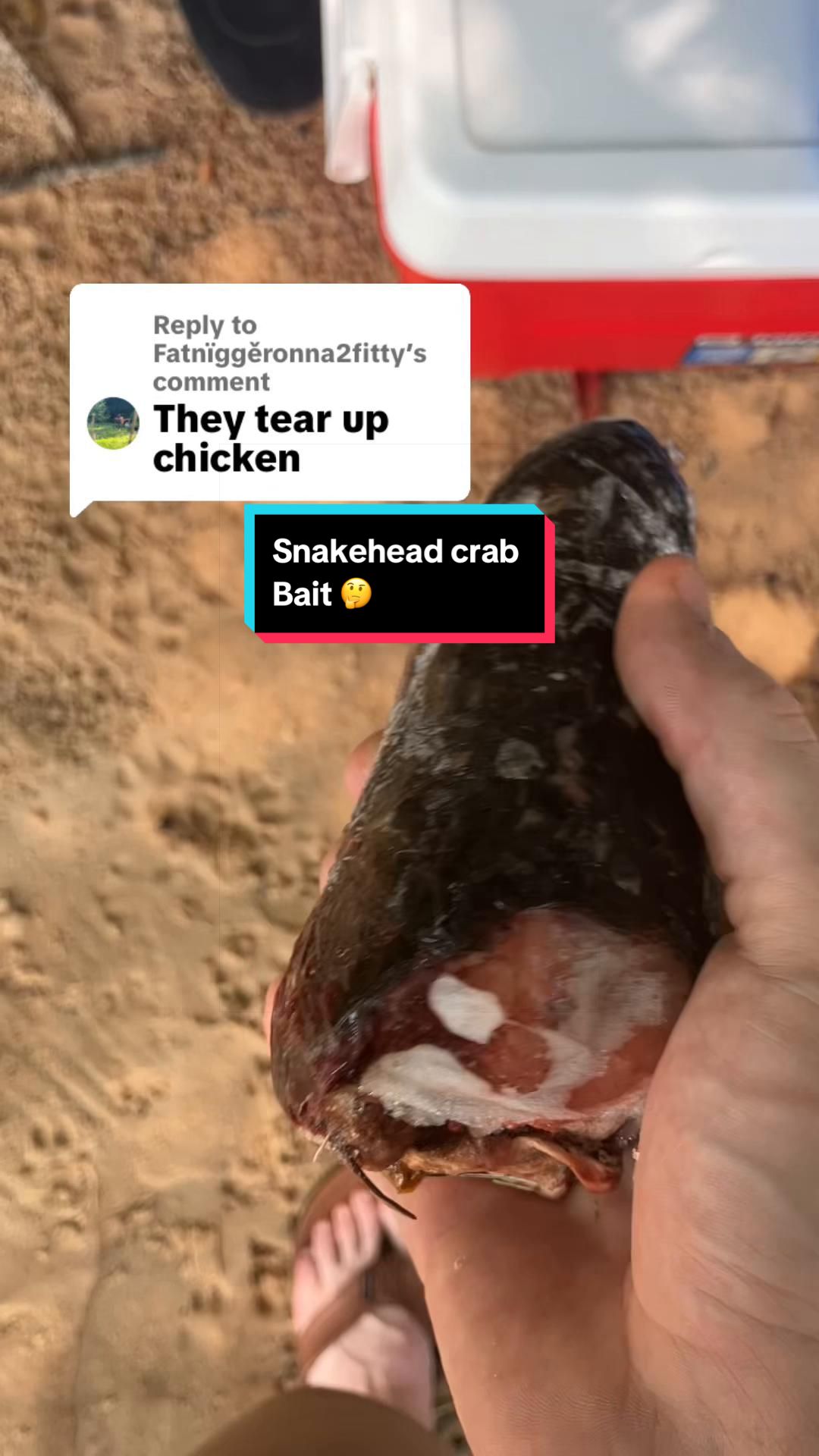 @baltimorebanditfishing