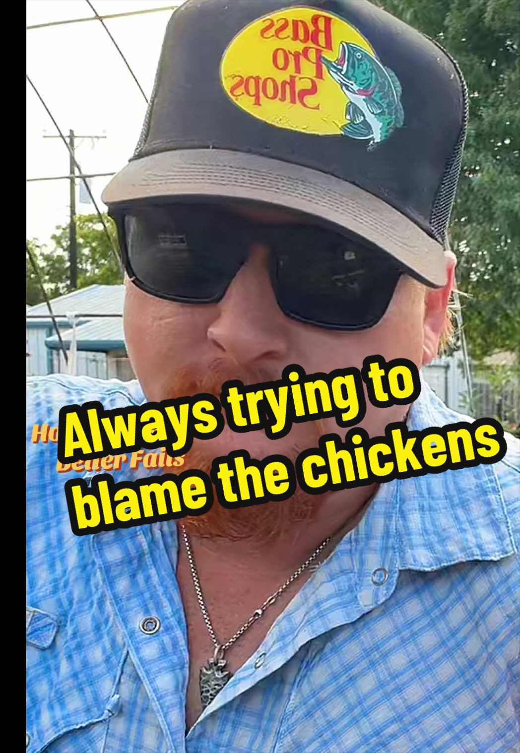 @Wingin It Homestead