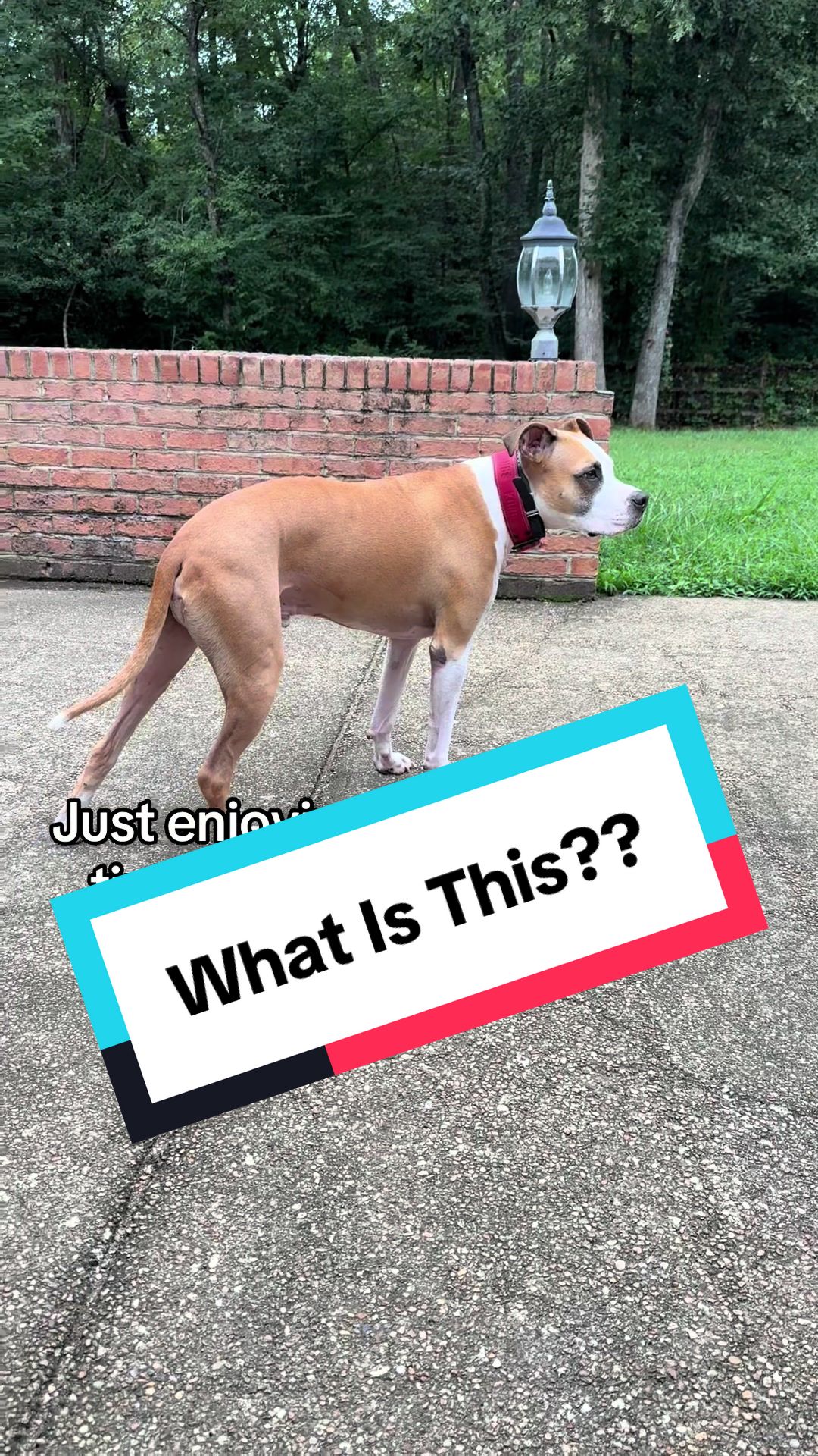 @Chance and Co