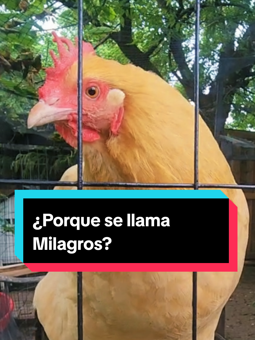 @Mi Rincón Favorito
