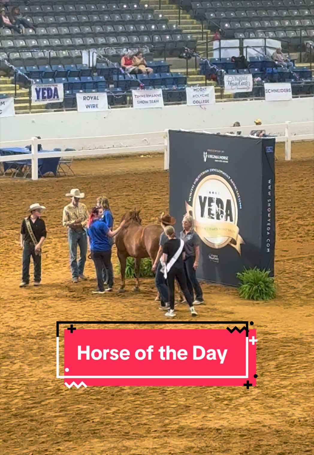 @yourhorseandponyleader