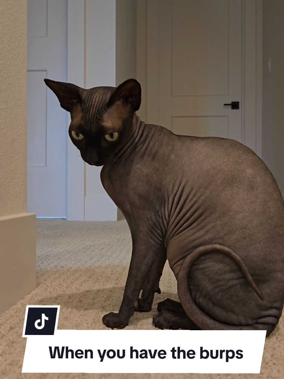 @kyoto.jack.sphynx