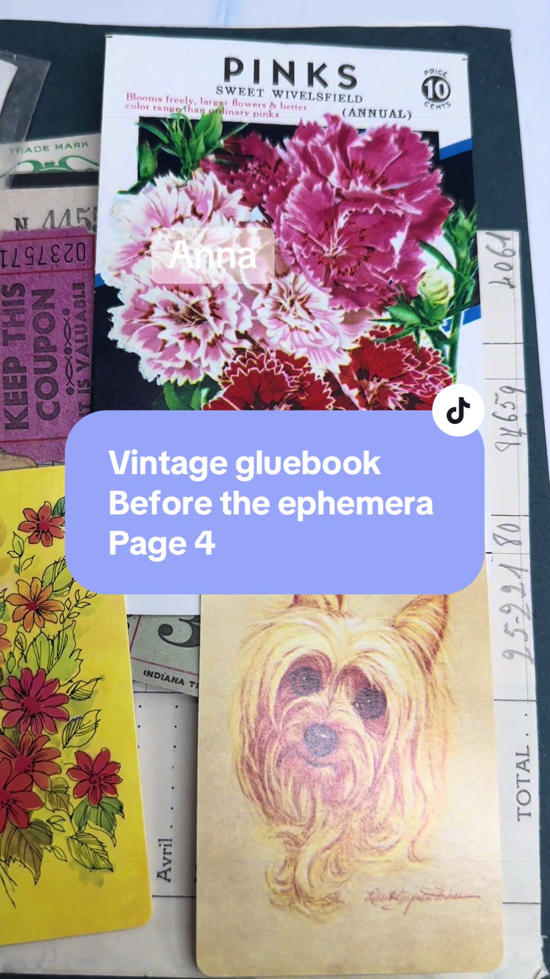 @Anna/Azastudiodesign