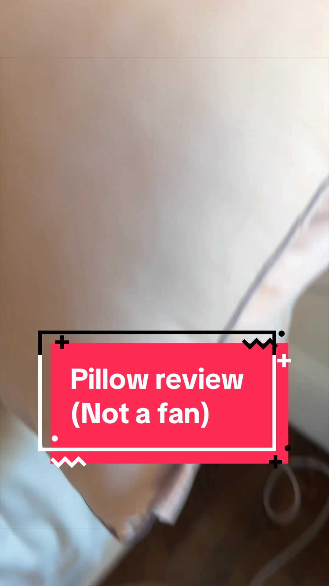 @Auntie Julie - The Cat Sitter