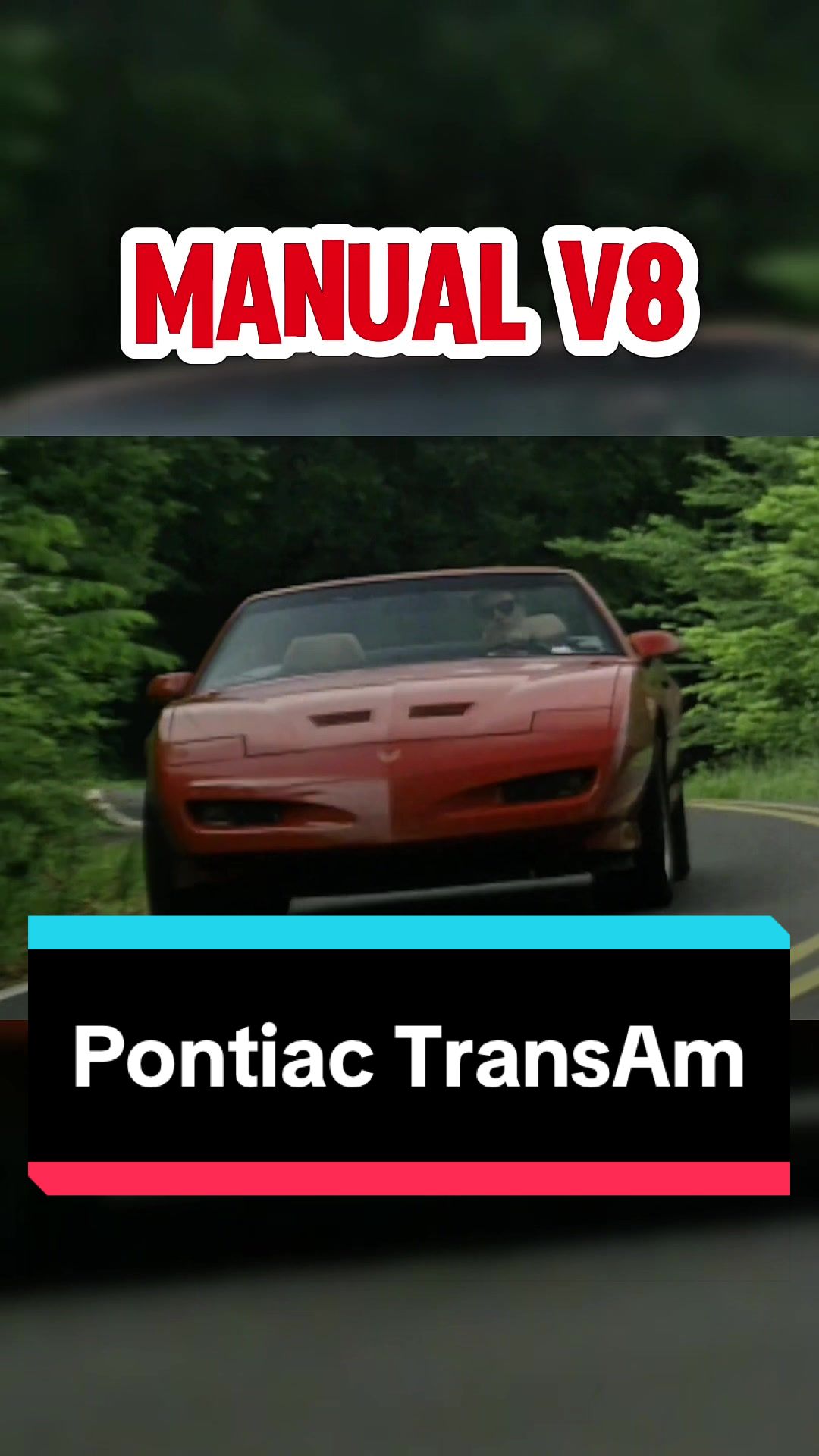 @TorqueHub🚘