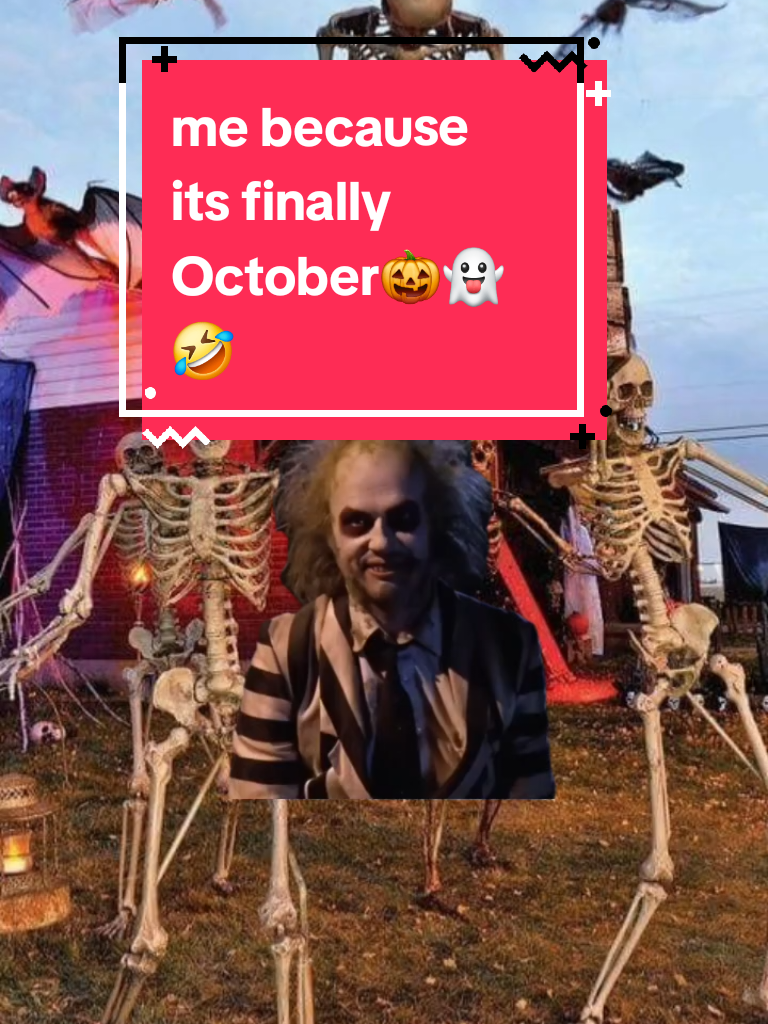@leaveituptoliz
