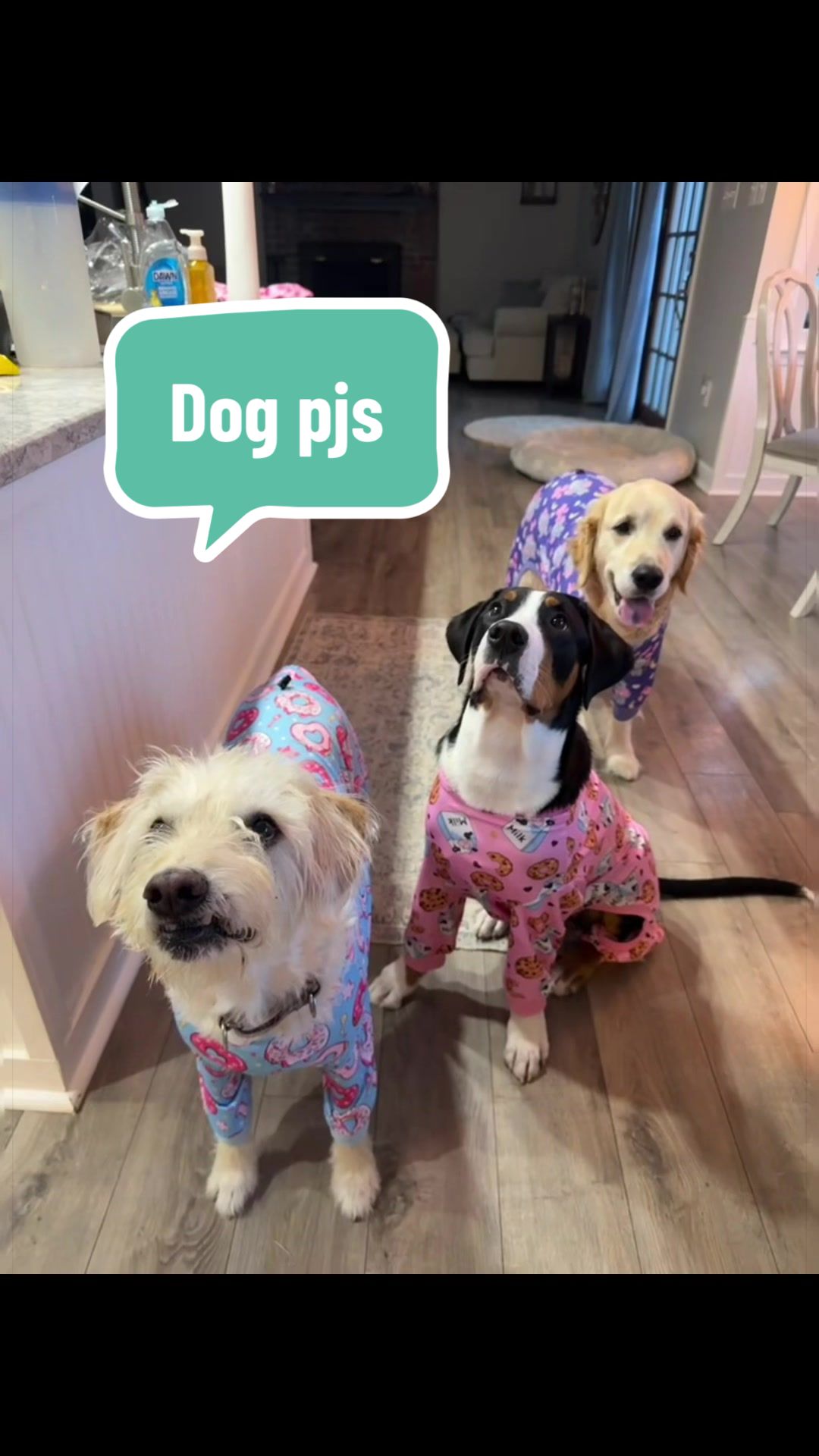 @🐾My3DogLife🐾