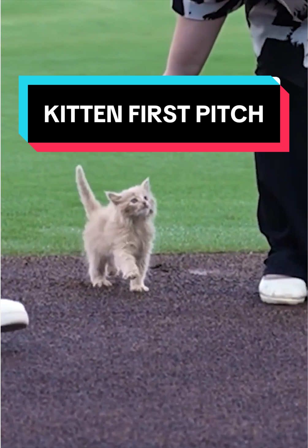 @MLB