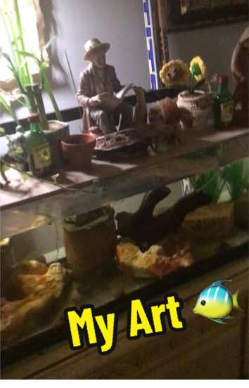 @Animal Papa