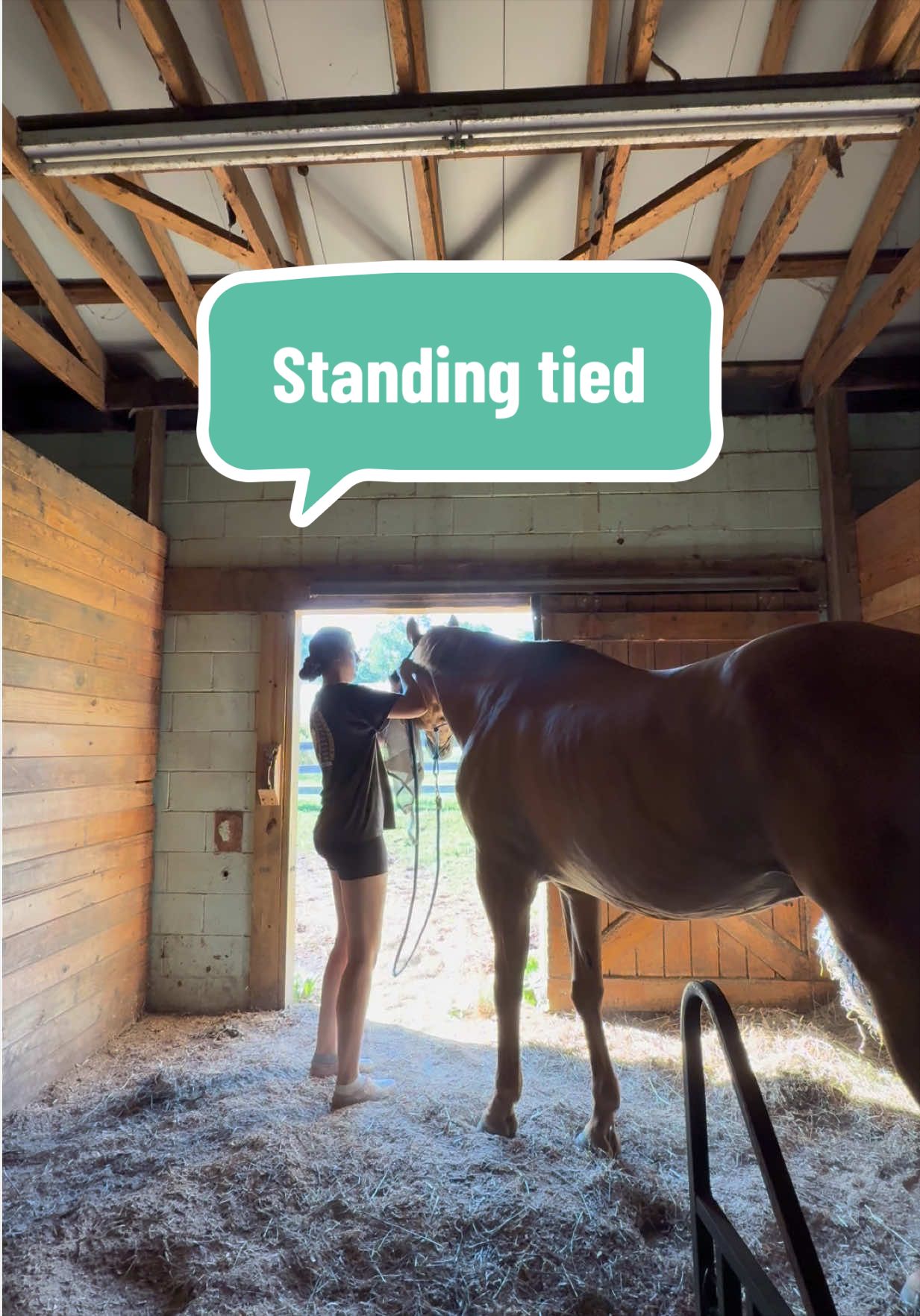 @HorsesFirst