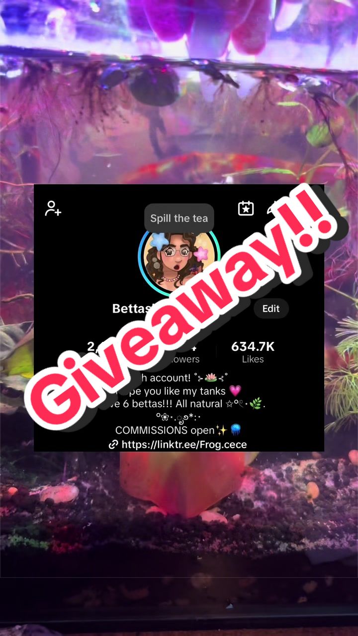 @Bettasbloom˚⊱🪷⊰˚