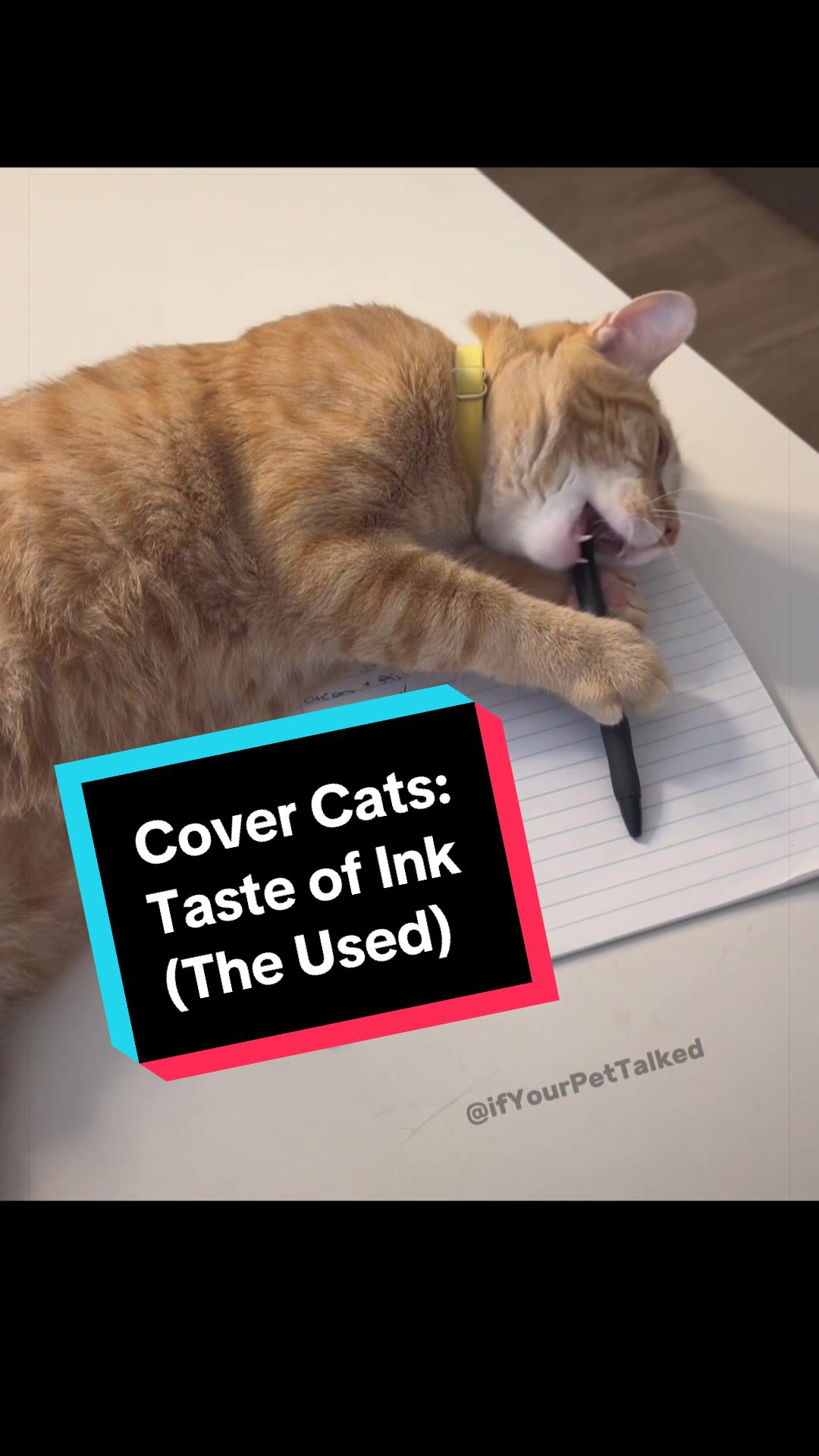 @If Your Pet Talked