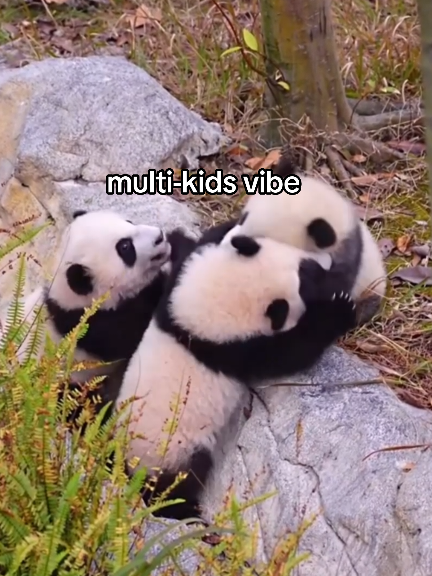 @PandaHut