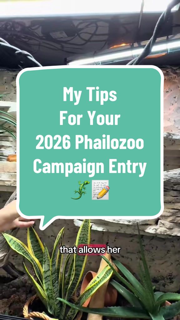@Miasminizoo🐾