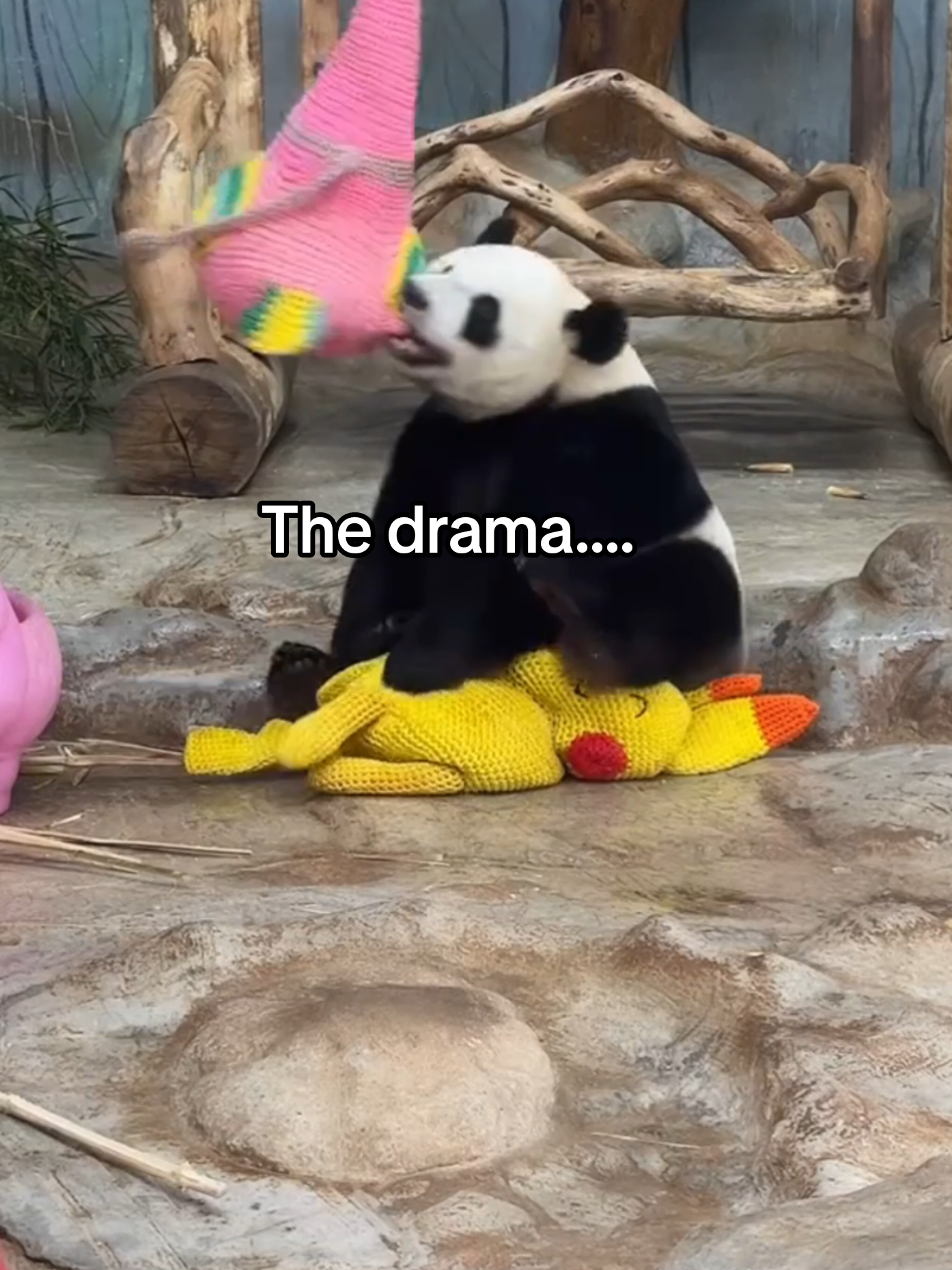 @PandaHut
