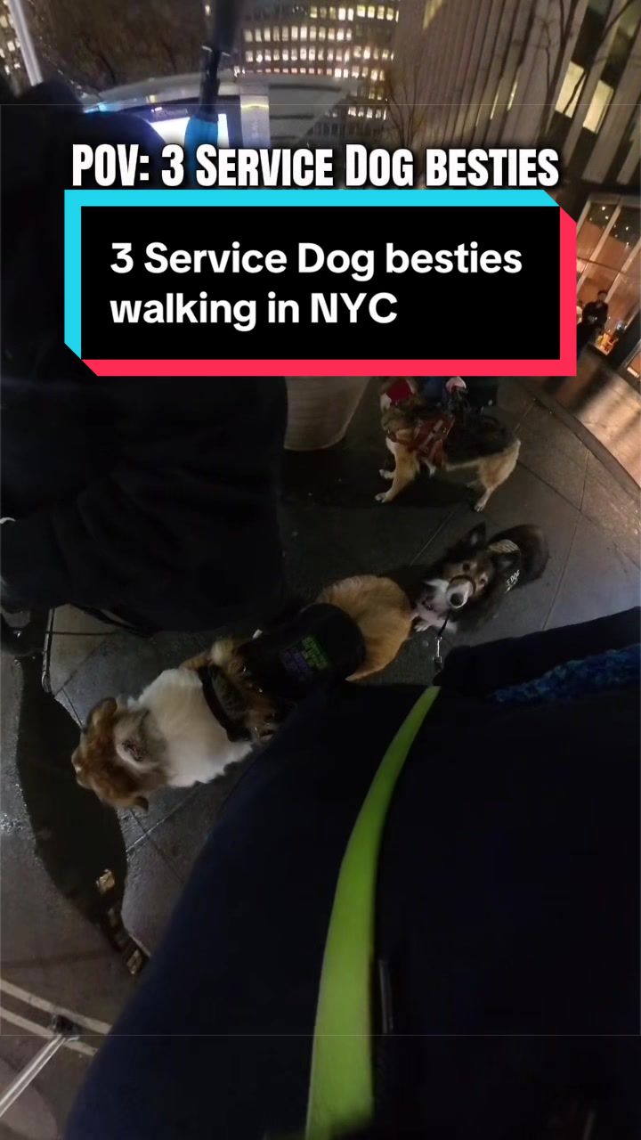 @Dakota & Pups