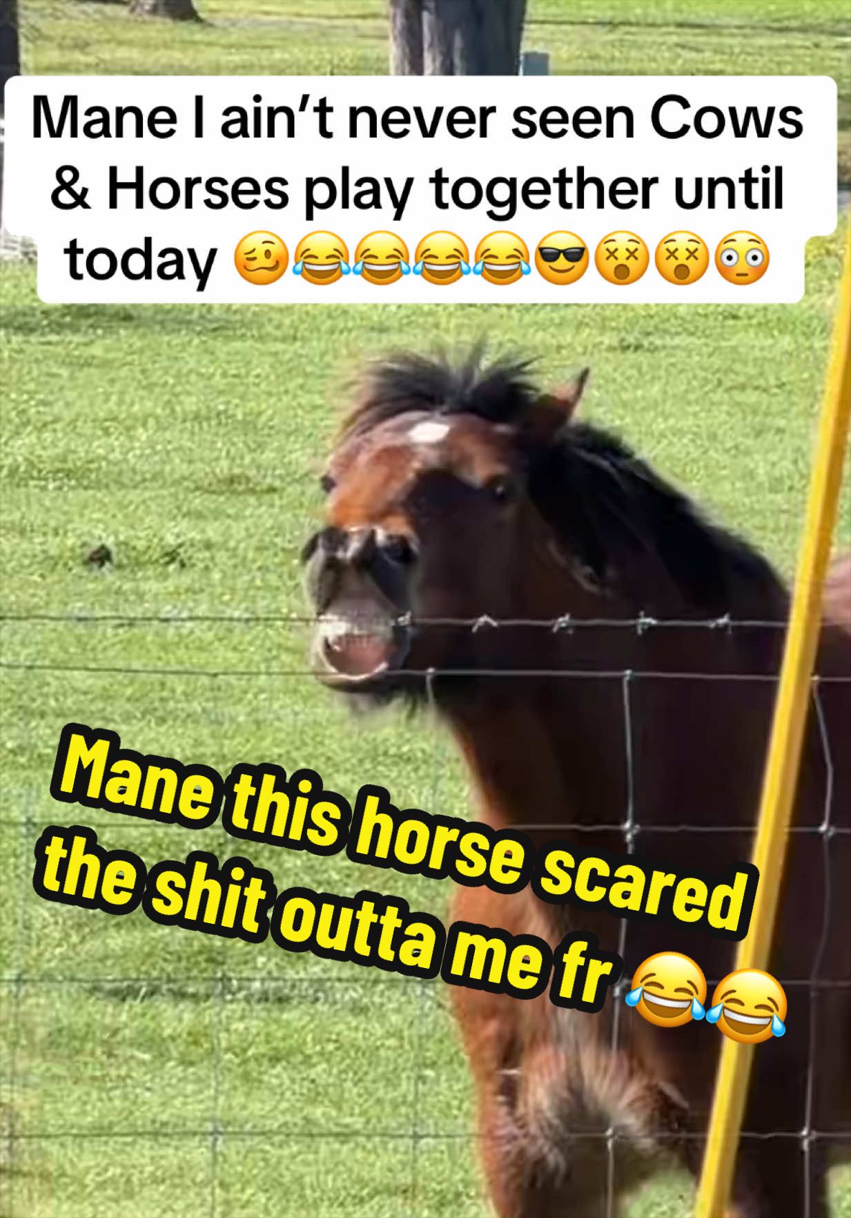 @bossdvincii