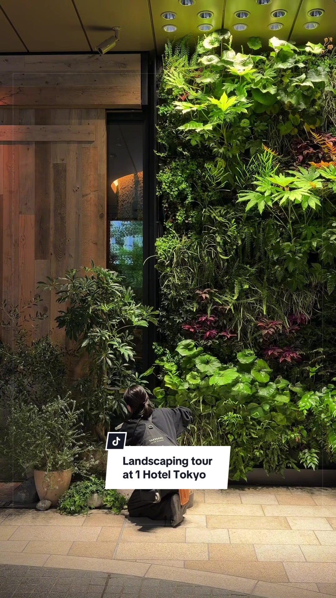 @1 Hotels