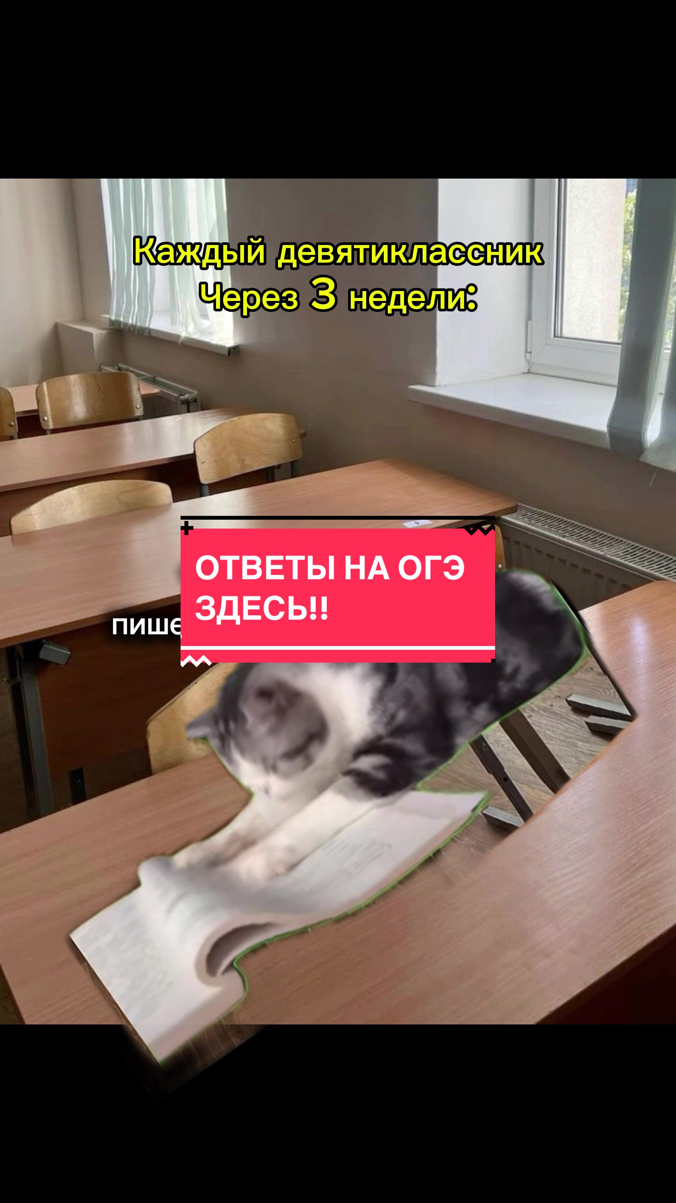 @drivips