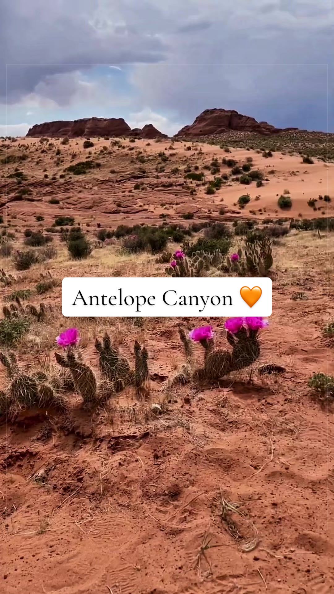 @emily 💯 travel + beauty